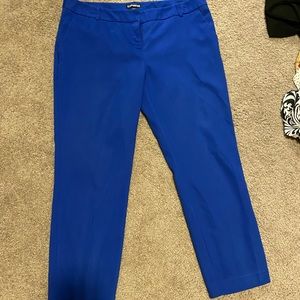 Express Columnist Dress Pants